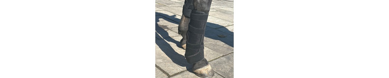 Roodlichttherapie voor dieren
